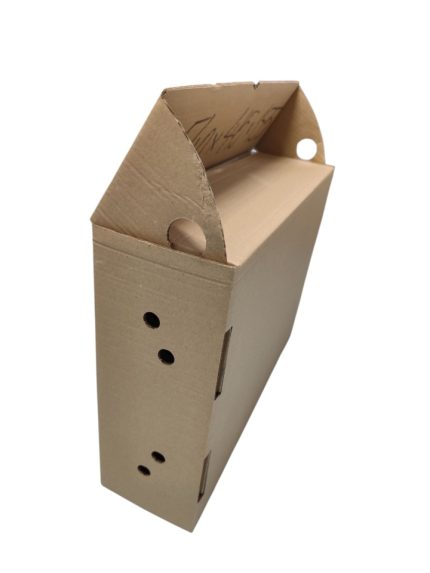 Set 5 buc cutie fructe mica 540x415x155 mm